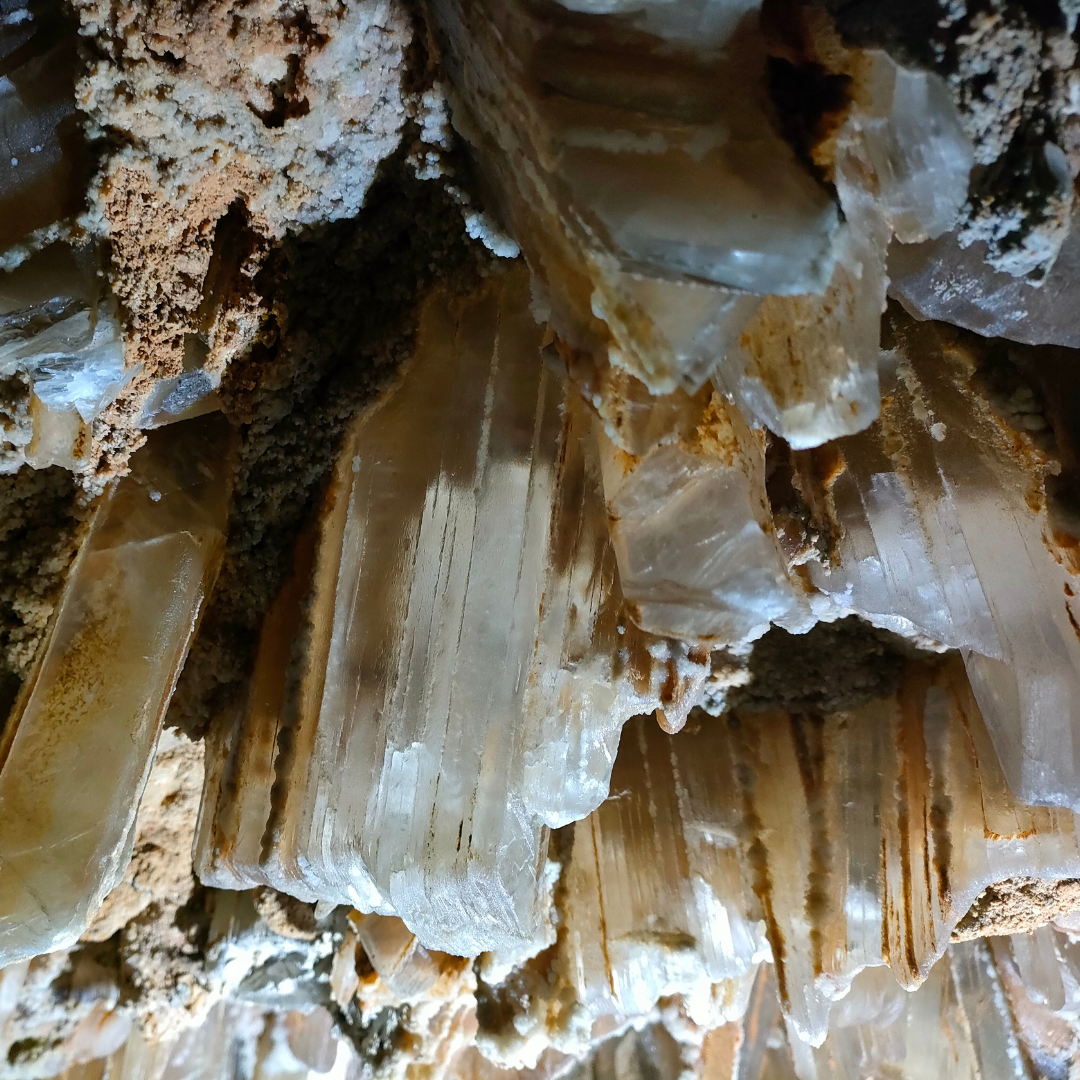 Cuevas del Sanario - Los Hedwitt
