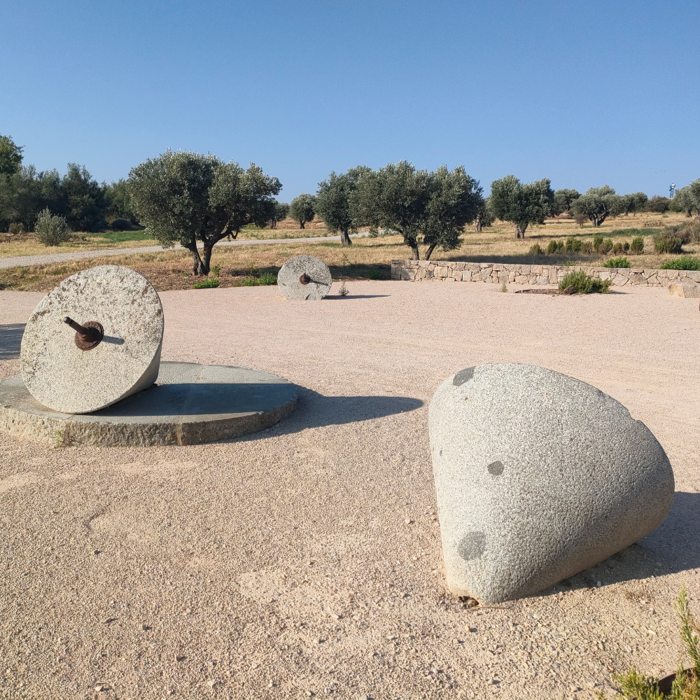 Parque Valdebebas con niños