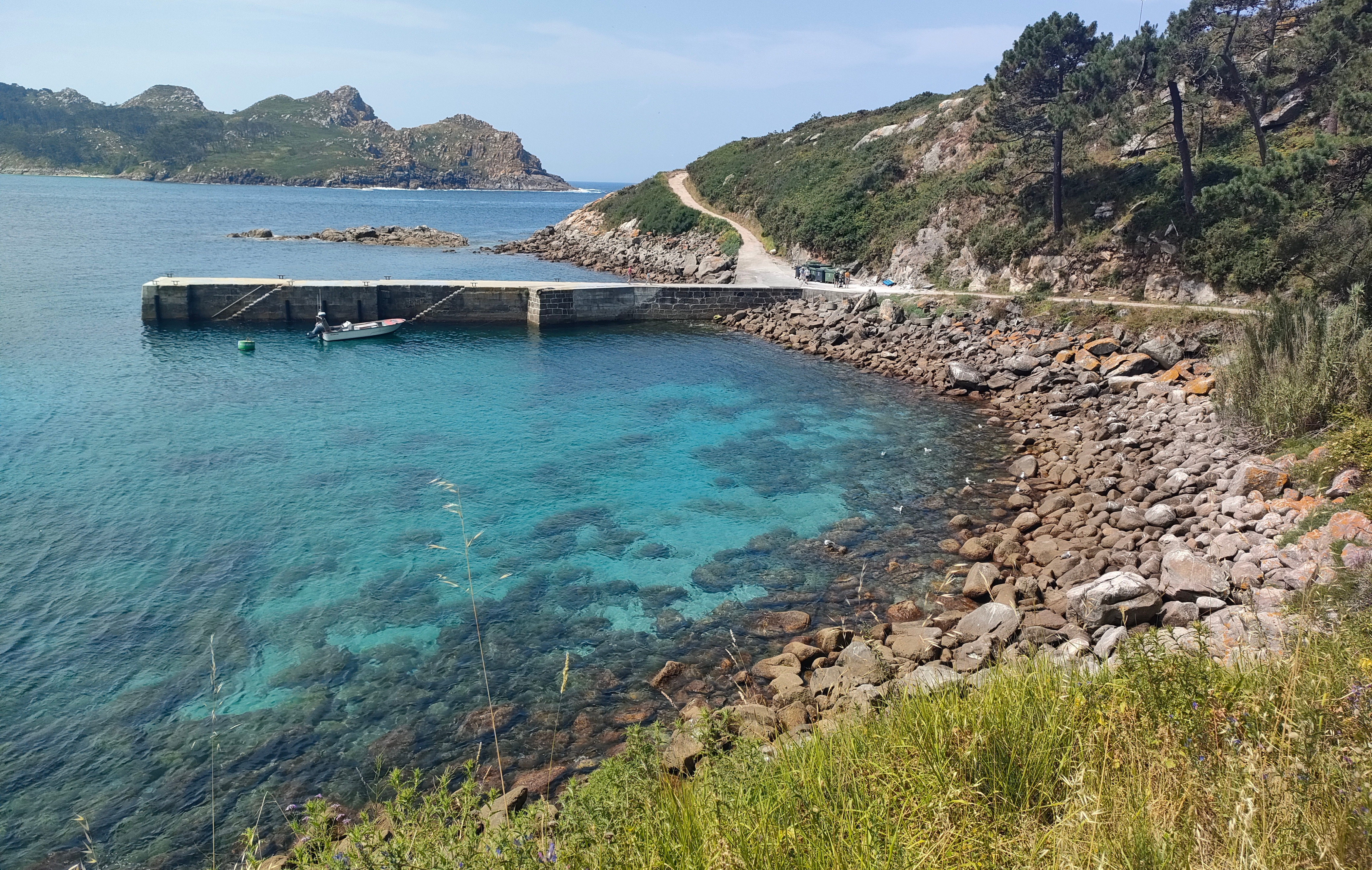 Cies con niños