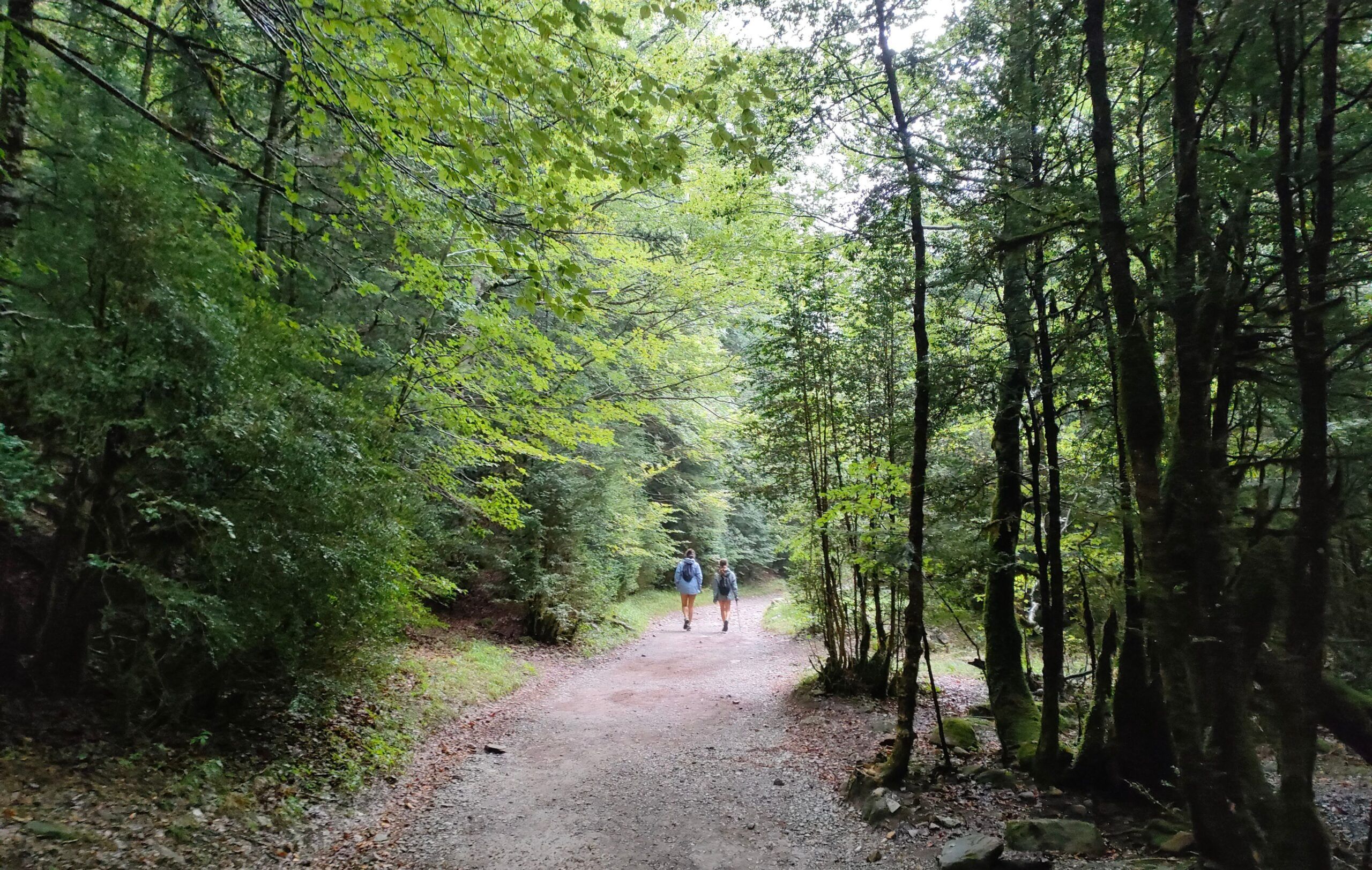 Pirineo aragonés con niños Ordesa y Monte Perdido