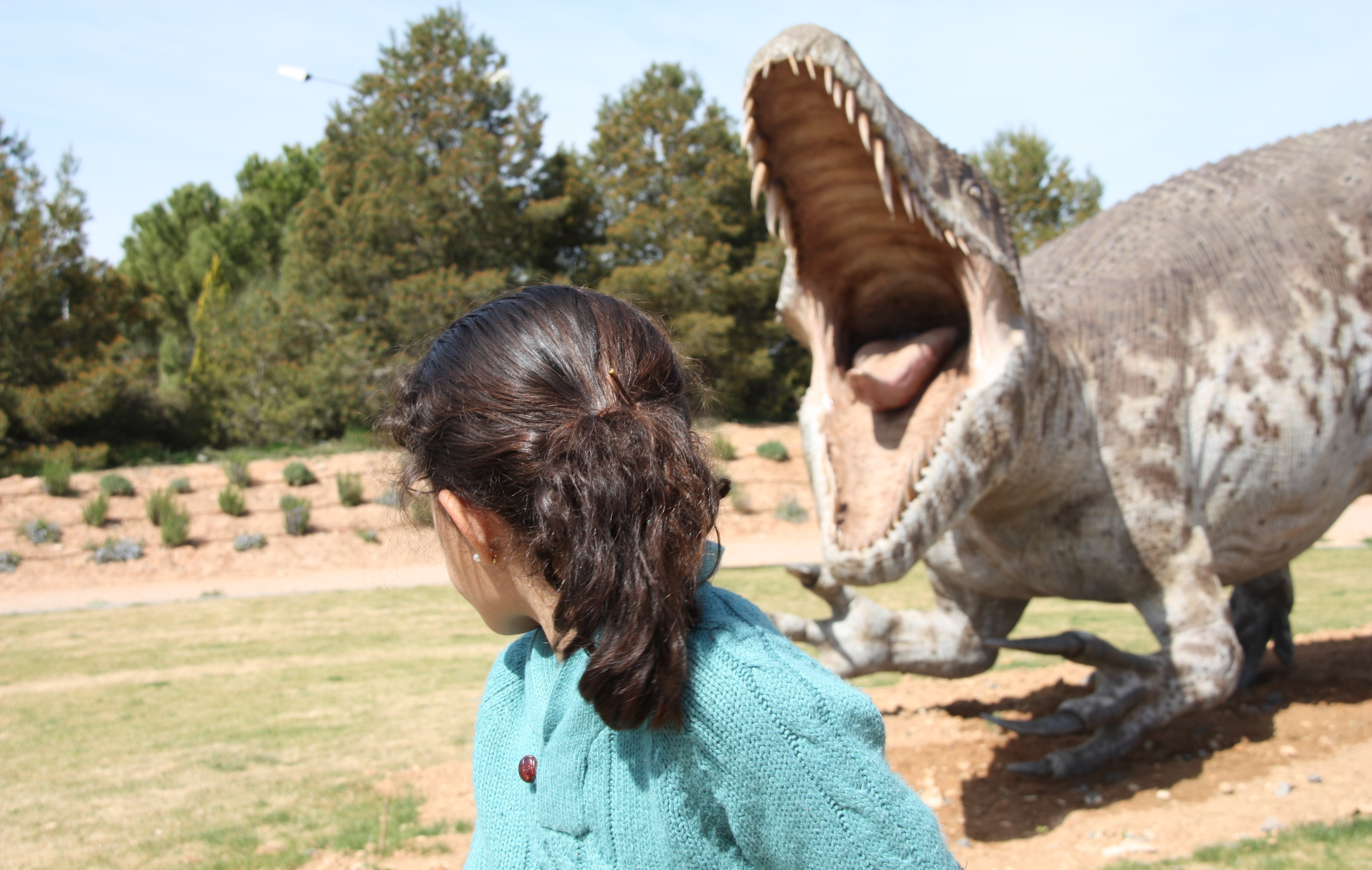 Autor Antonio Dominguez novelas juveniles e infantiles