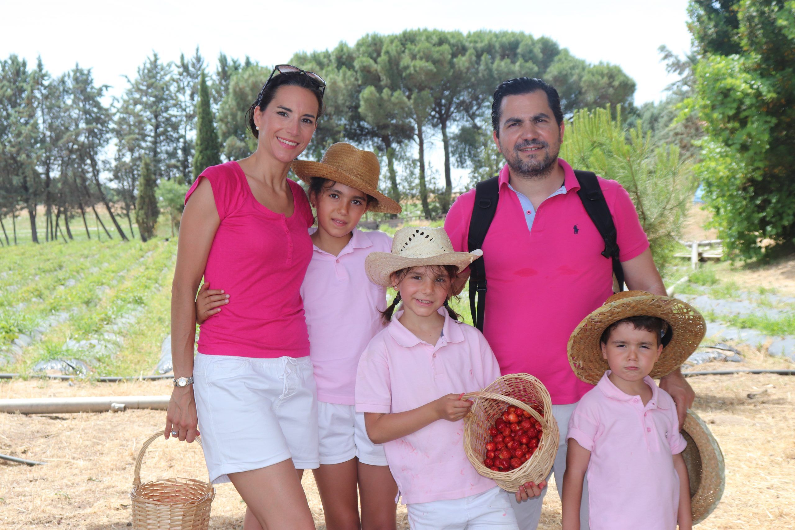 Recogiendo fresas huerto ecológico Madrid