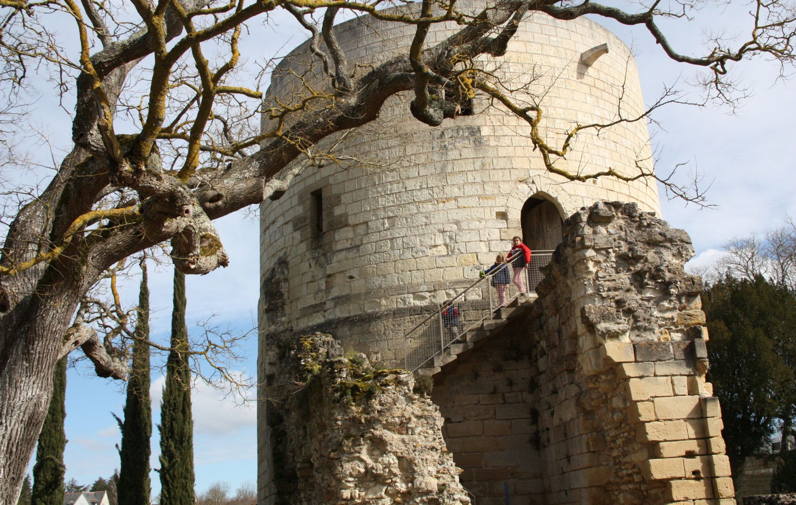 Chinon, castillos del Loira, Paris en coche, Disneyland en coche