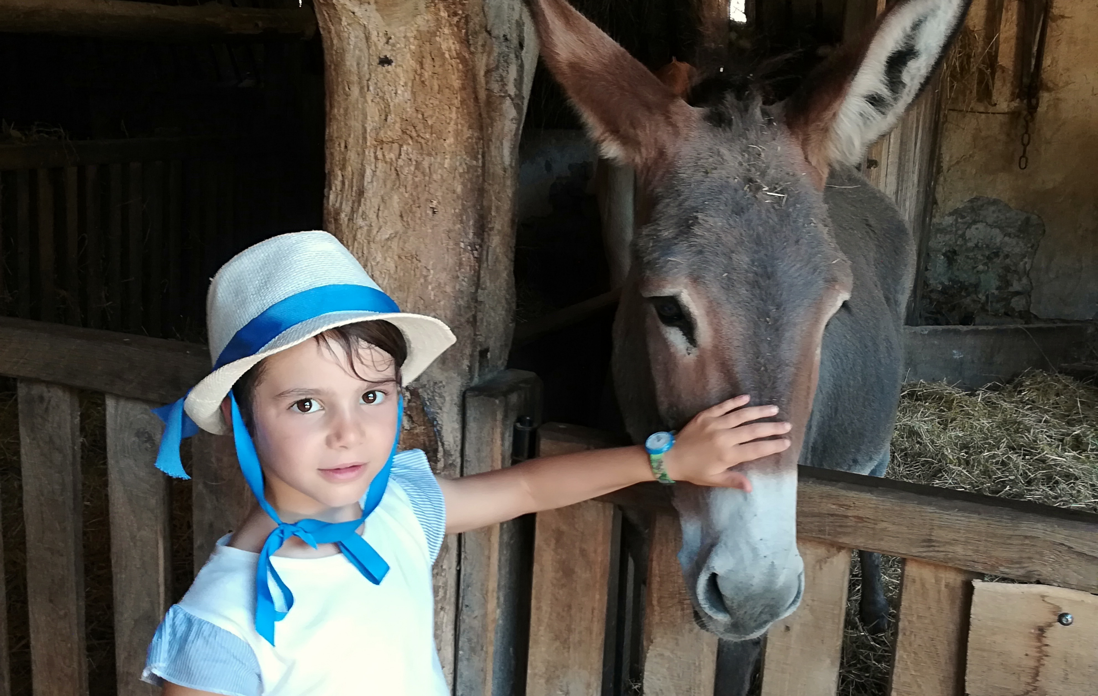 Bretaña en coche con niños, Nantes y Países del Loira, Puy du Fou