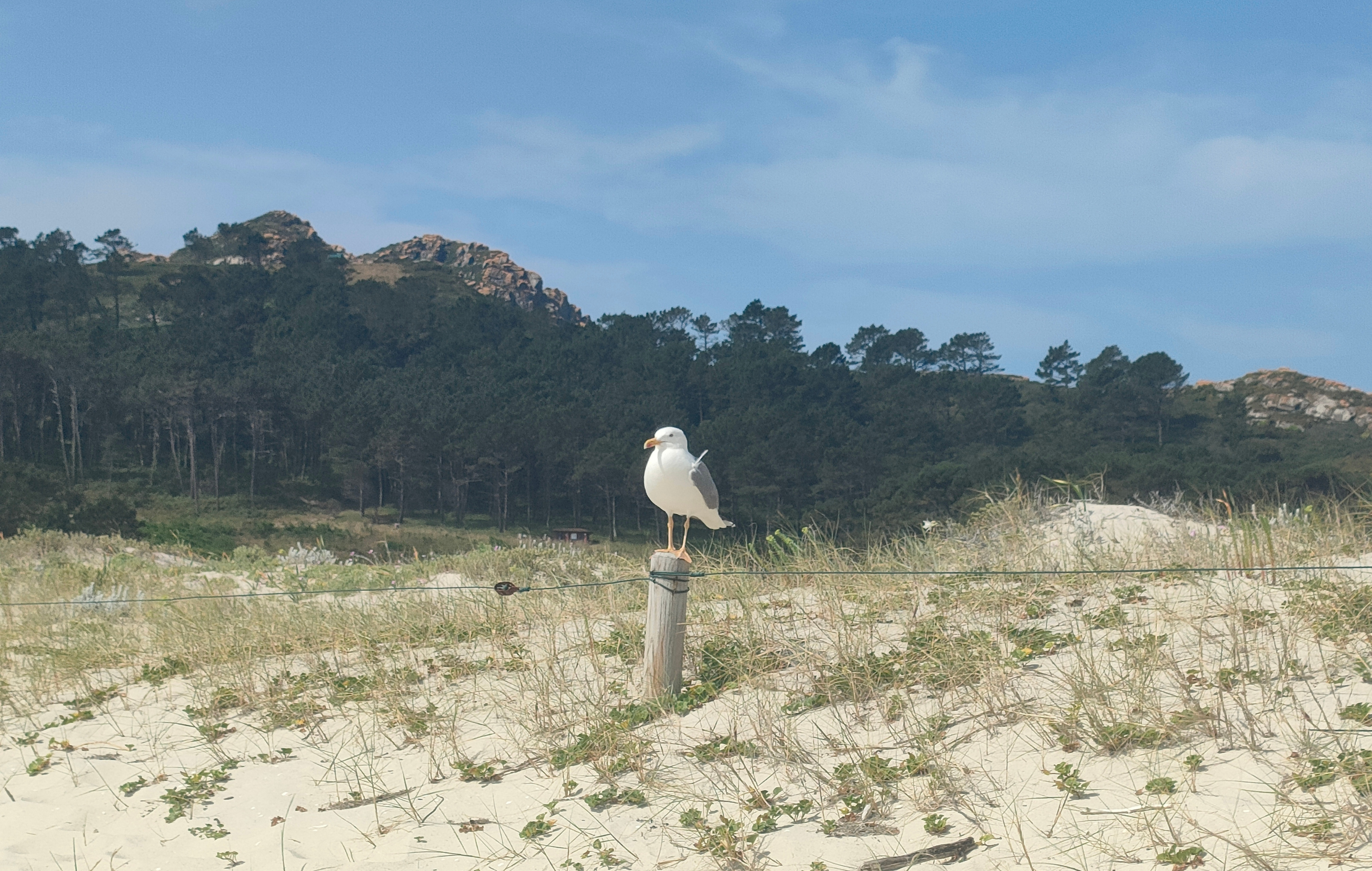Las Cies con niños