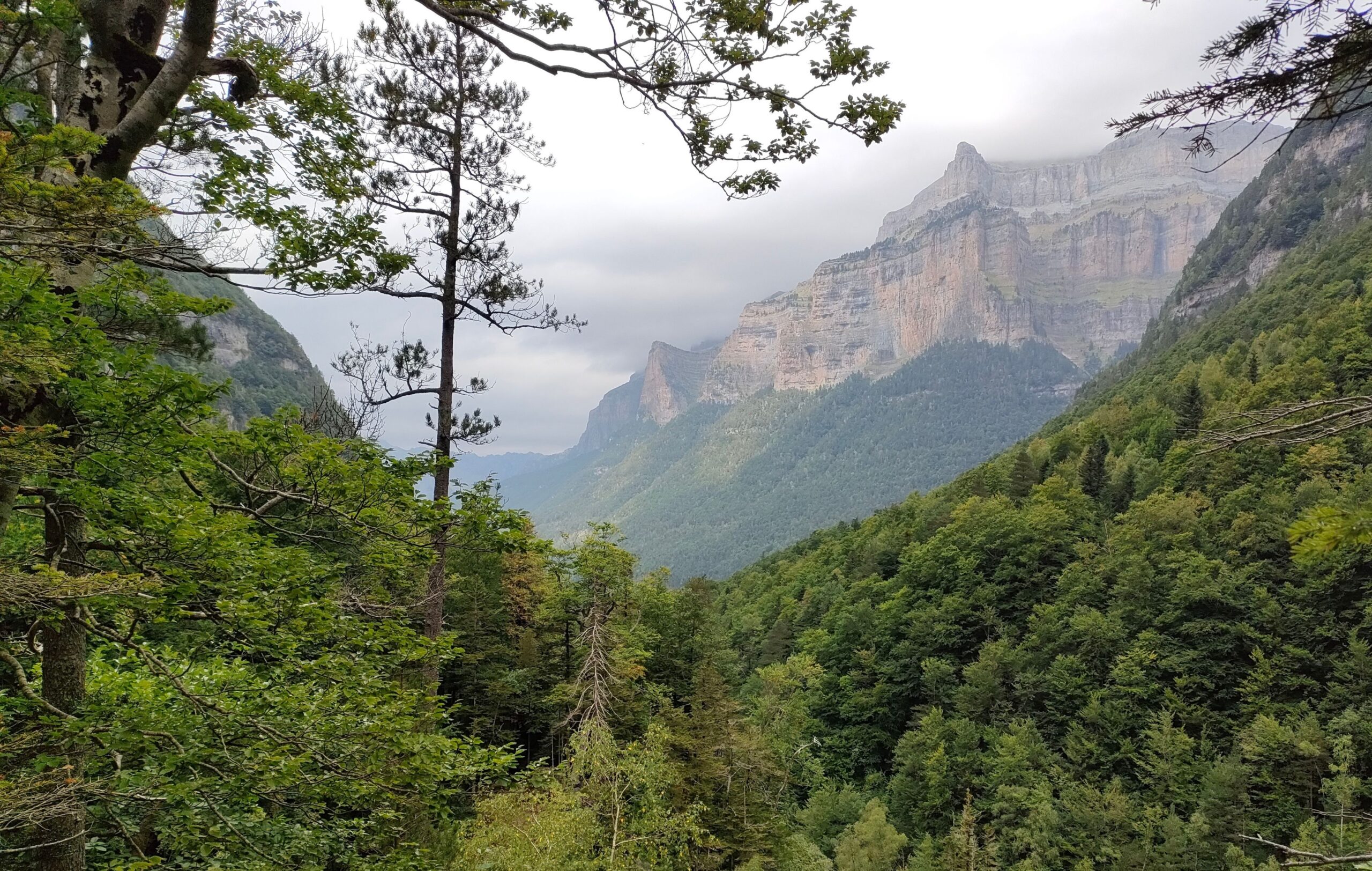 Pirineo aragonés con niños en verano; vacaciones en naturaleza, aventura y cultura. ¡Todo en un uno!
