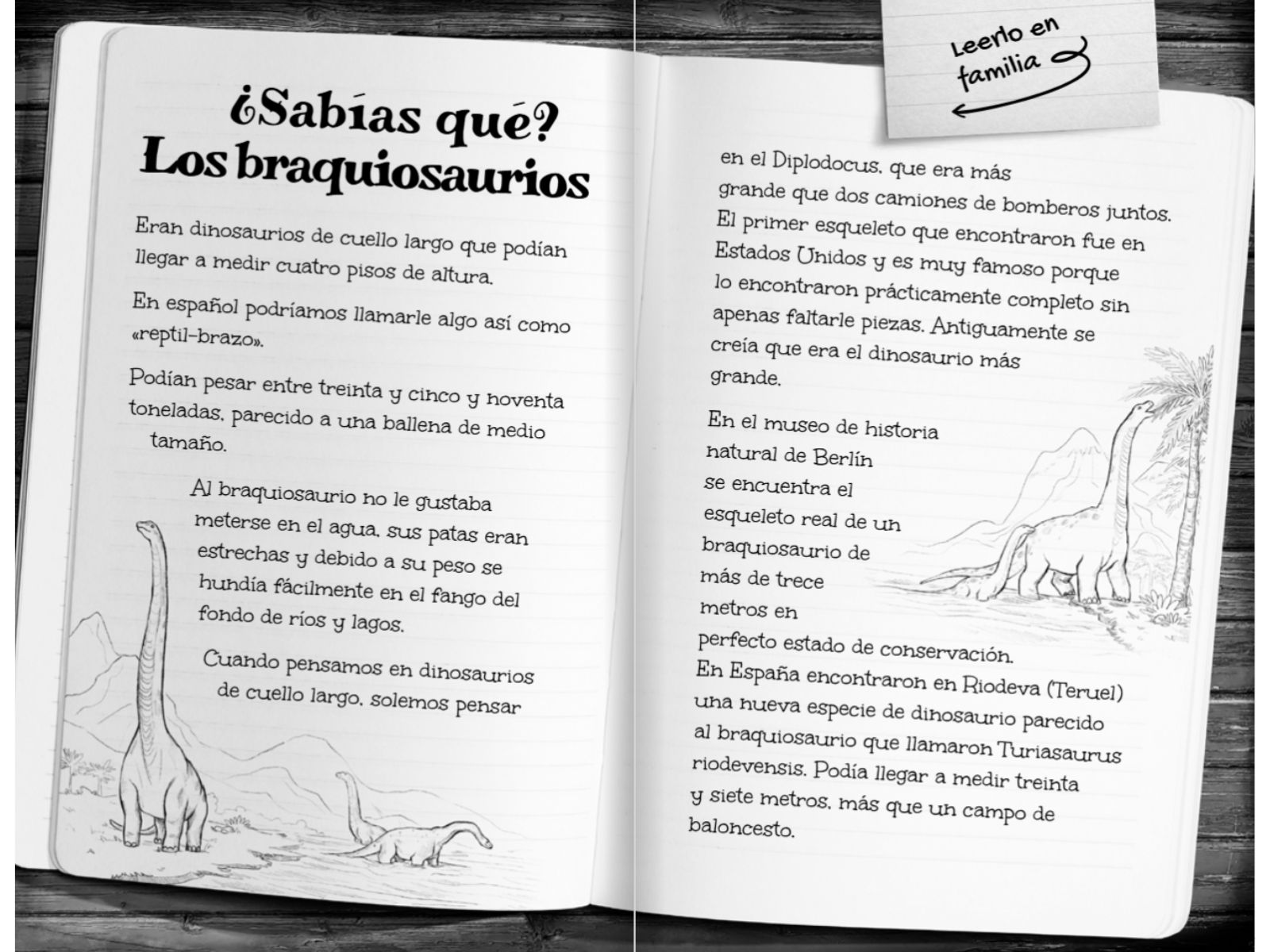 Libros de dinosaurios para niños y niñas de 6 a 9 años