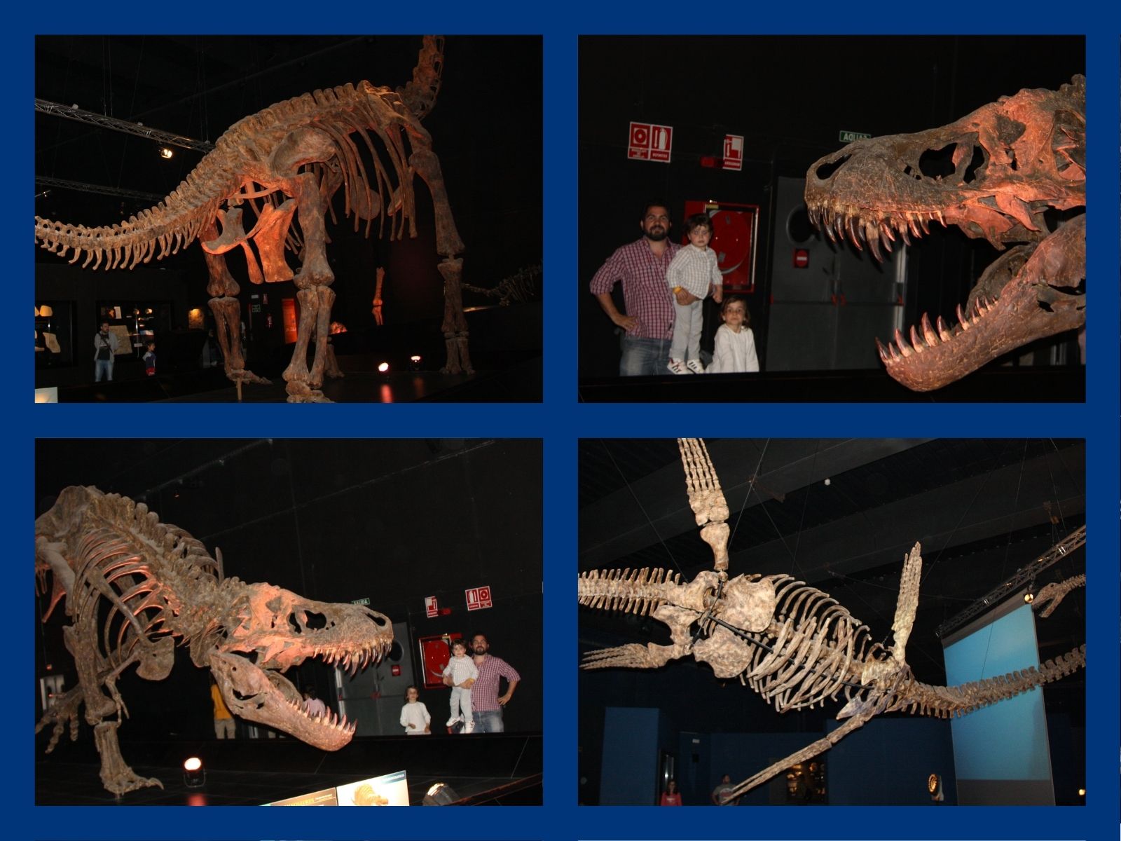 Guia de museos de dinosaurios en España: 4 destinos alucinantes para pequeños paleontólogos