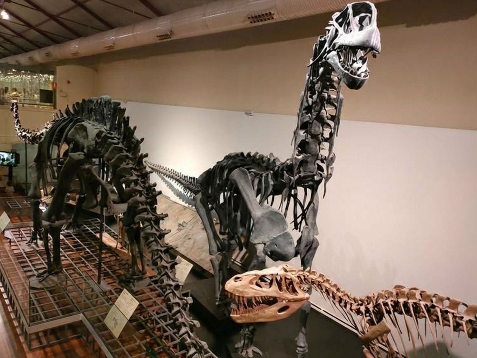 Guia de museos de dinosaurios en España: 4 destinos alucinantes para pequeños paleontólogos
