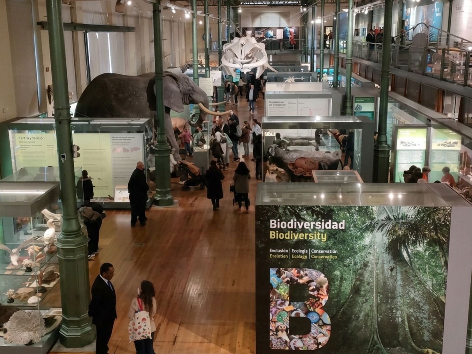 Guia de museos de dinosaurios en España: 4 destinos alucinantes para pequeños paleontólogos