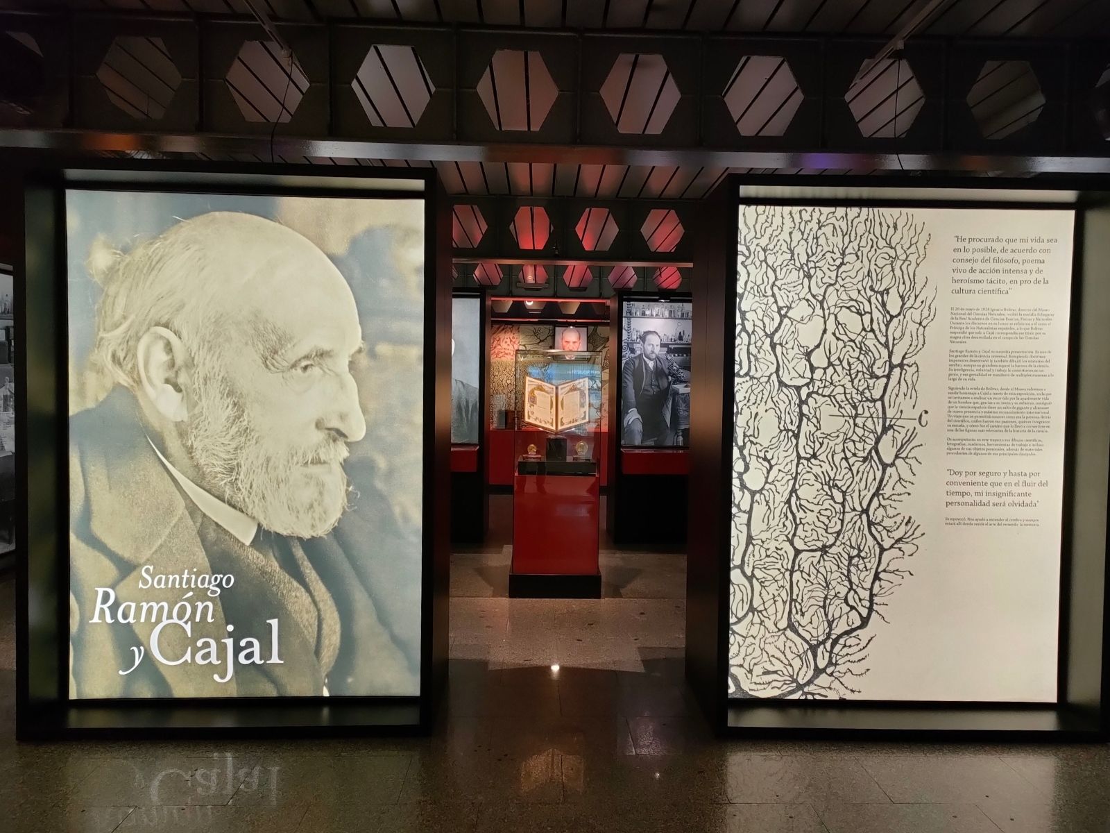 Santiago Ramón y Cajal, Museo Nacional de Ciencias Naturales Madrid. Un cientifico inspirador para niños y mayores.