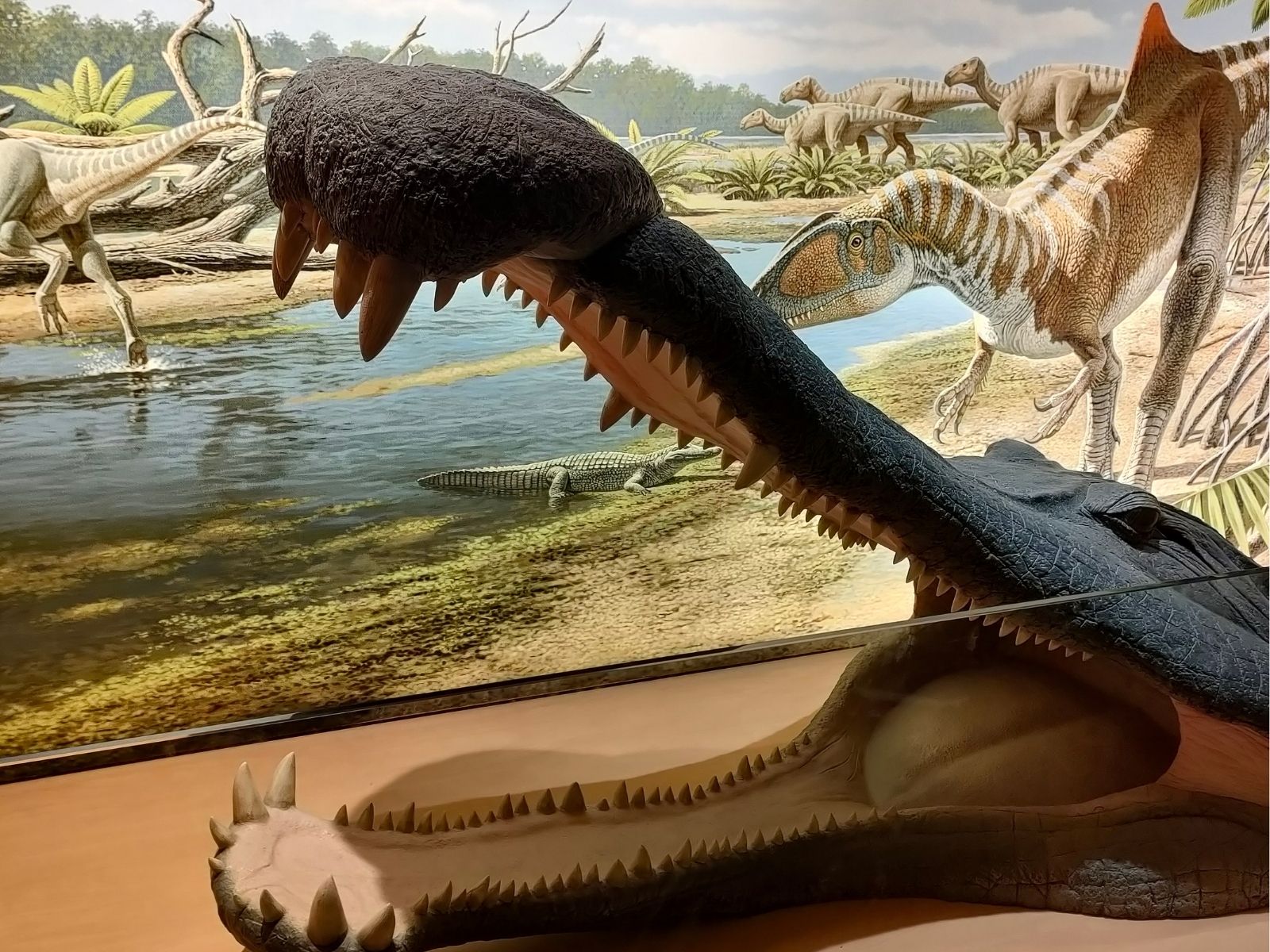 Guia de museos de dinosaurios en España: 4 destinos alucinantes para pequeños paleontólogos