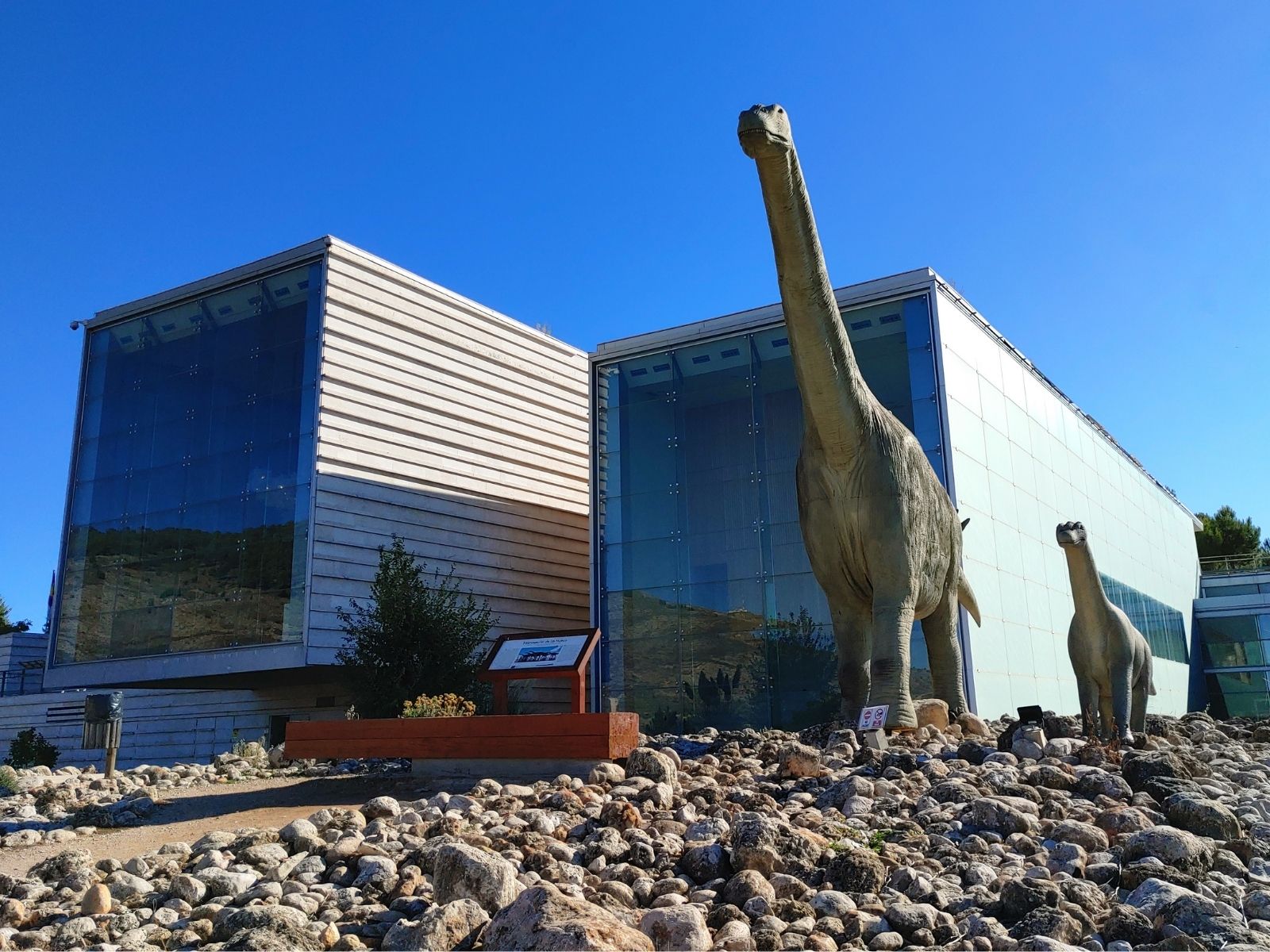 Guia de museos de dinosaurios en España: 4 destinos alucinantes para pequeños paleontólogos