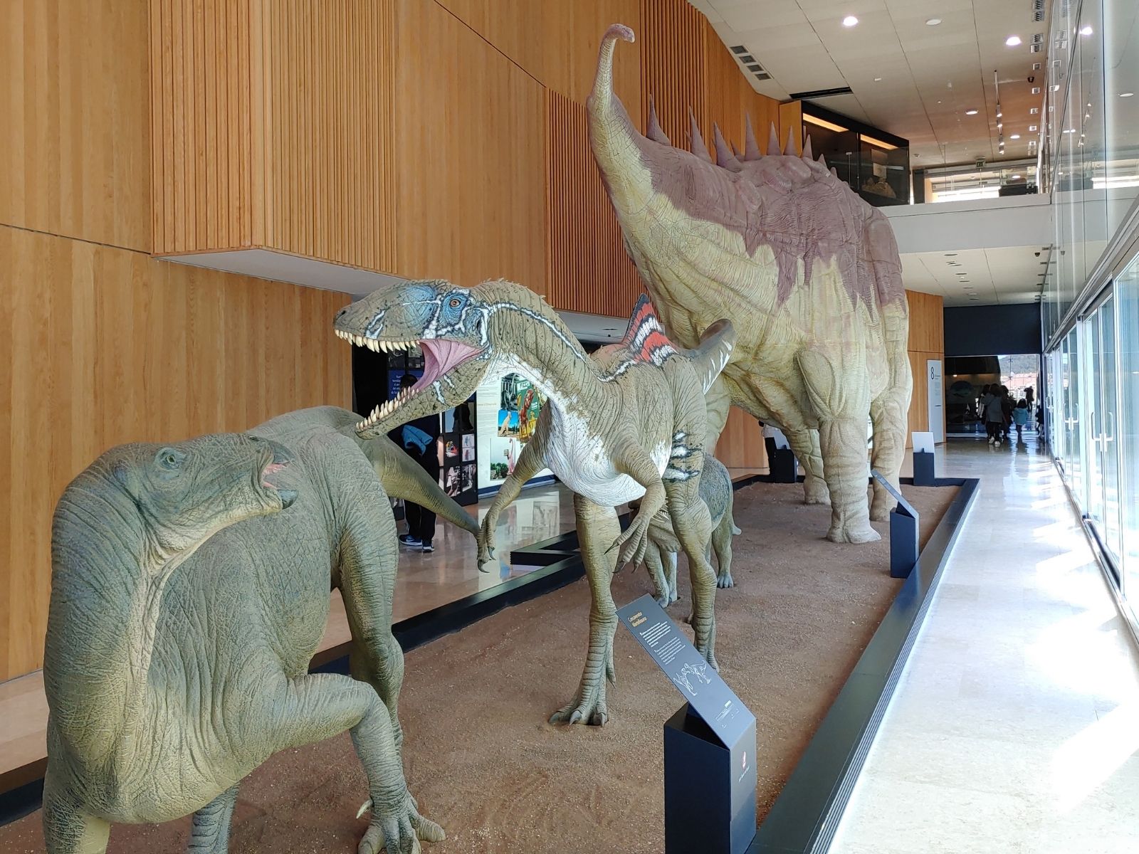 Guia de museos de dinosaurios en España: 4 destinos alucinantes para pequeños paleontólogos