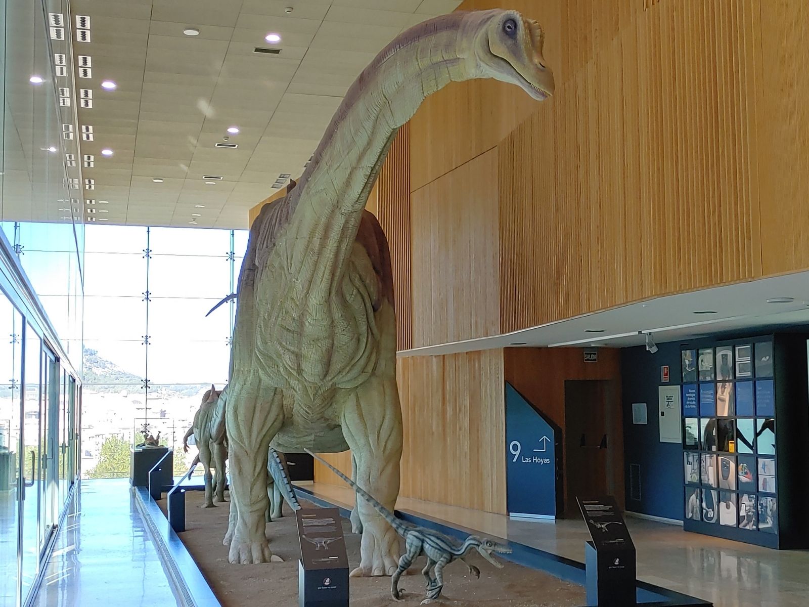 Guia de museos de dinosaurios en España: 4 destinos alucinantes para pequeños paleontólogos