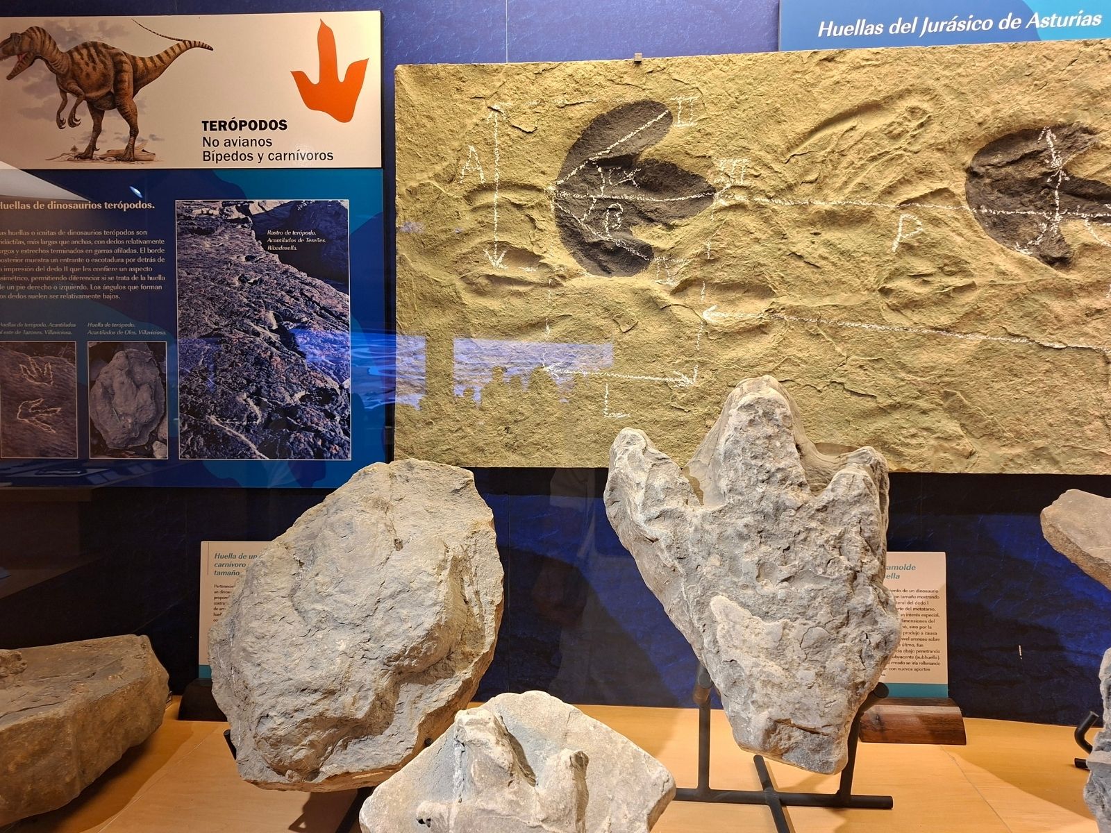 Guia de museos de dinosaurios en España: 4 destinos alucinantes para pequeños paleontólogos