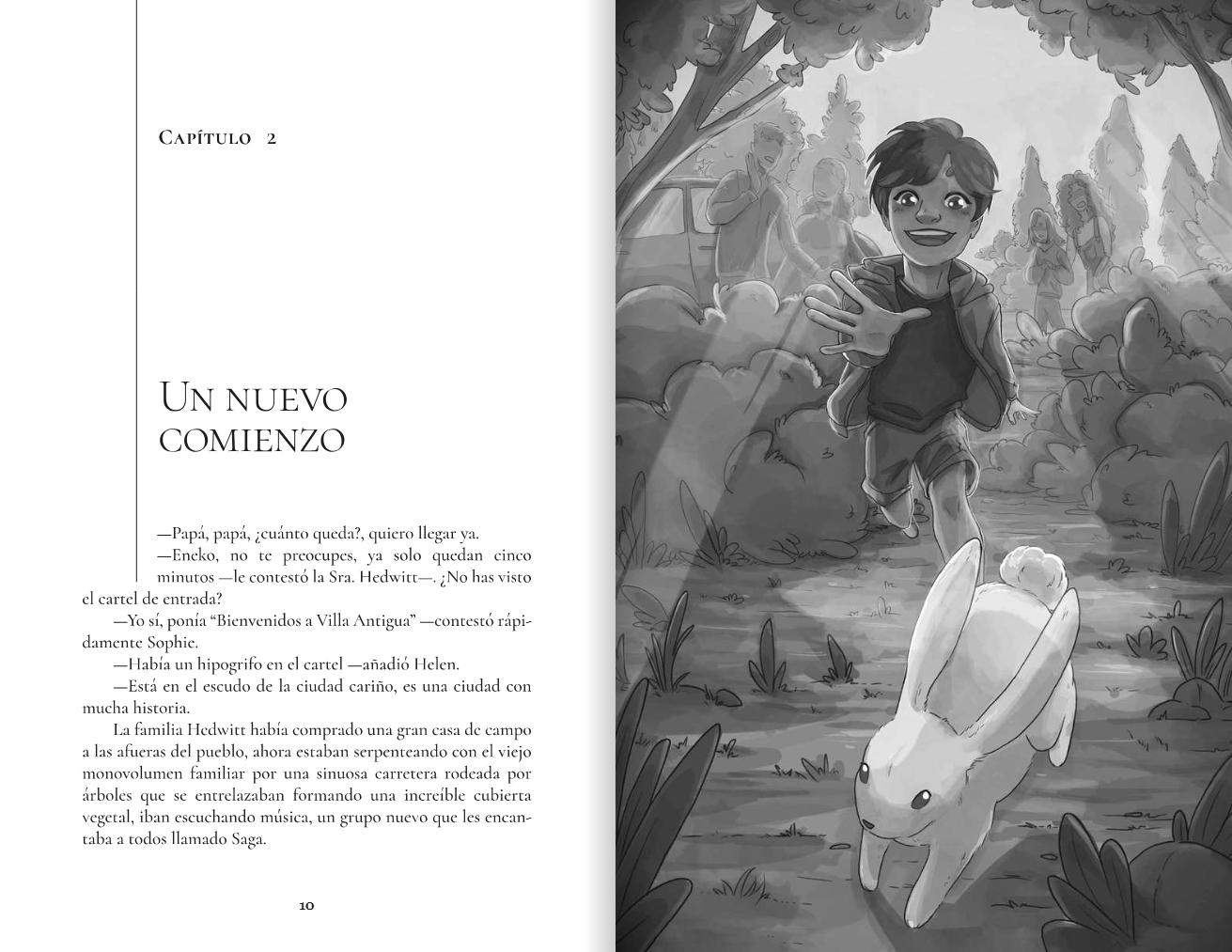 Novela niños 9 a 12 años Los Hedwitt