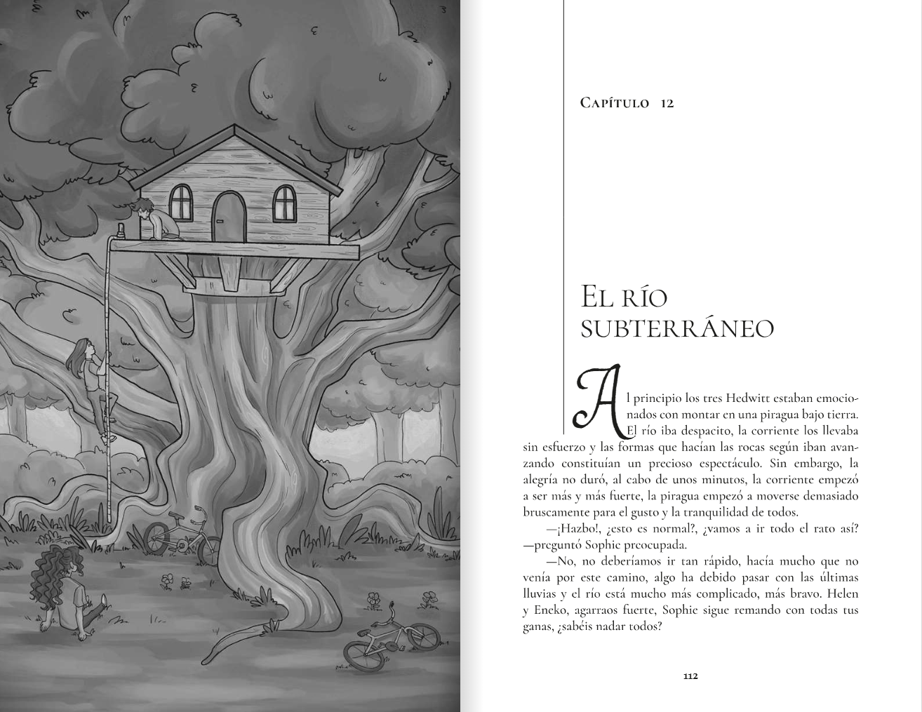 Novela niños 9 a 12 años Los Hedwitt