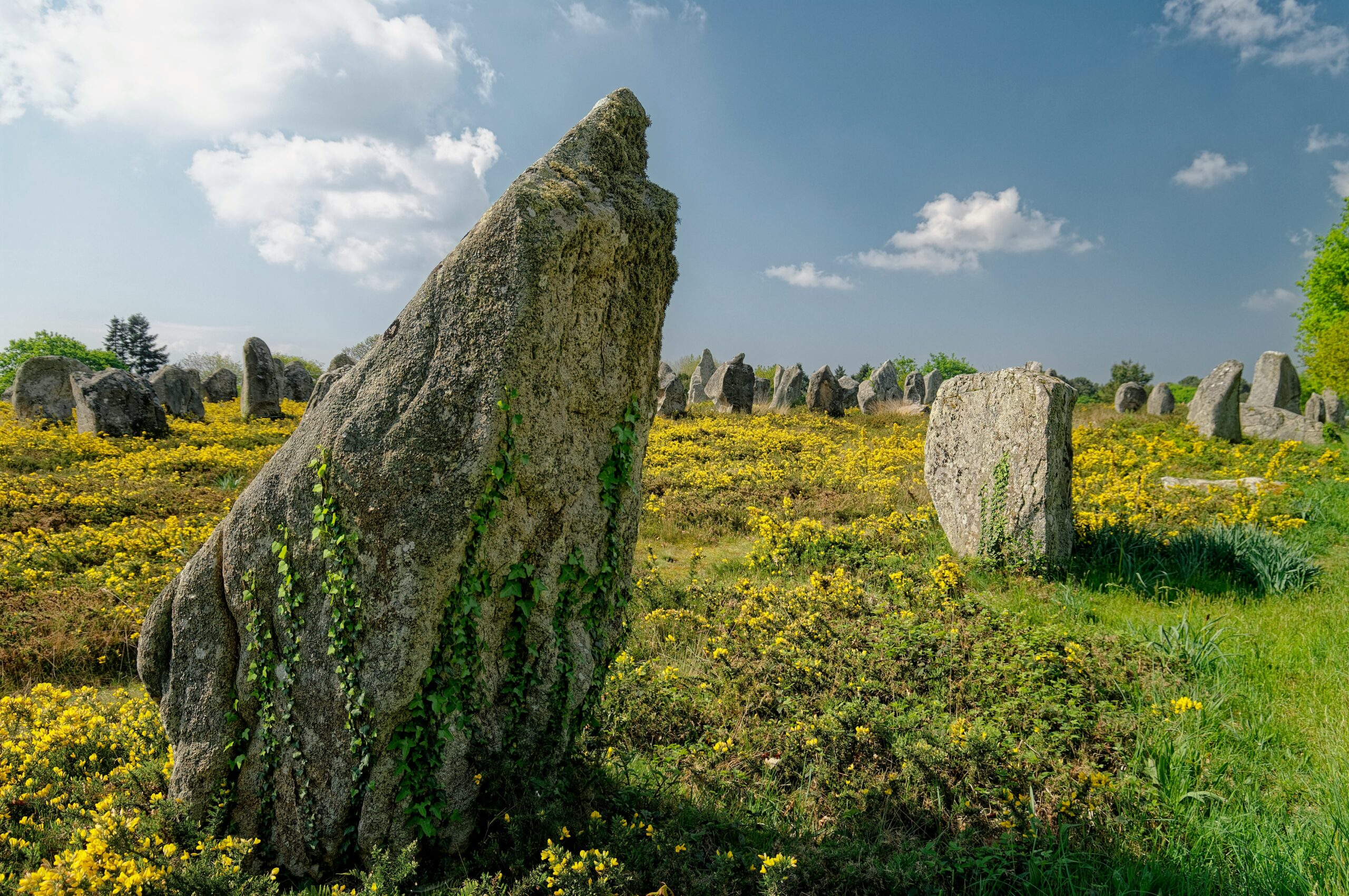Bretaña en coche con niños Foto de Andreas Brunn en Unsplash Carnac primavera
