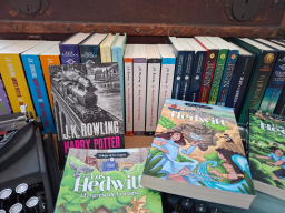 Libros para niños fans de harry potter de 9 a 12 años